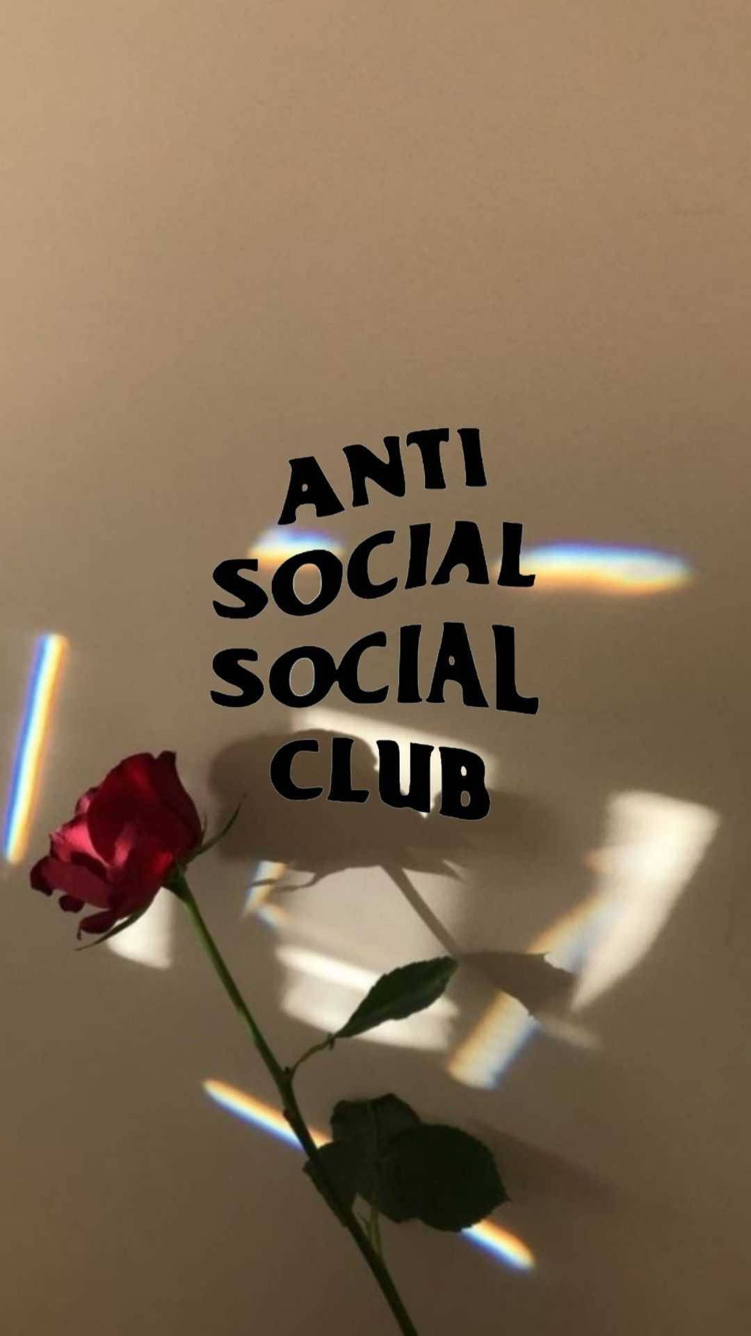 Anti Social Social Club Rose Light Wallpaper