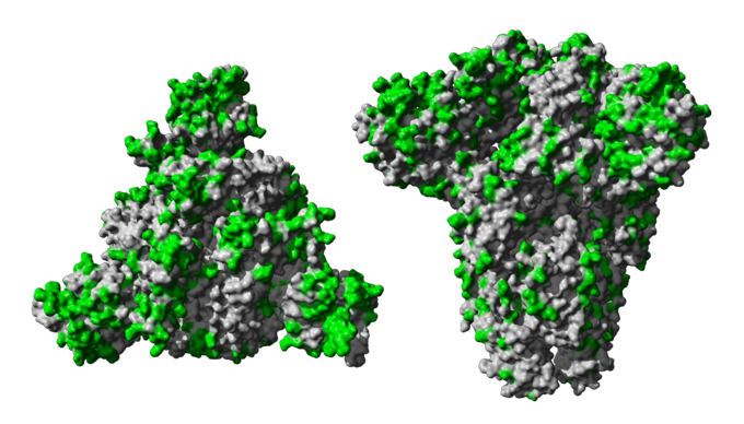 Antibody Protein Complex Visualization PNG