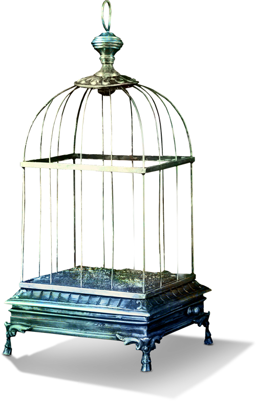 Antique Birdcage Design PNG — An ornate vintage birdcage with glass panels and metal bars sits on an elegant base against a softly blurred background.