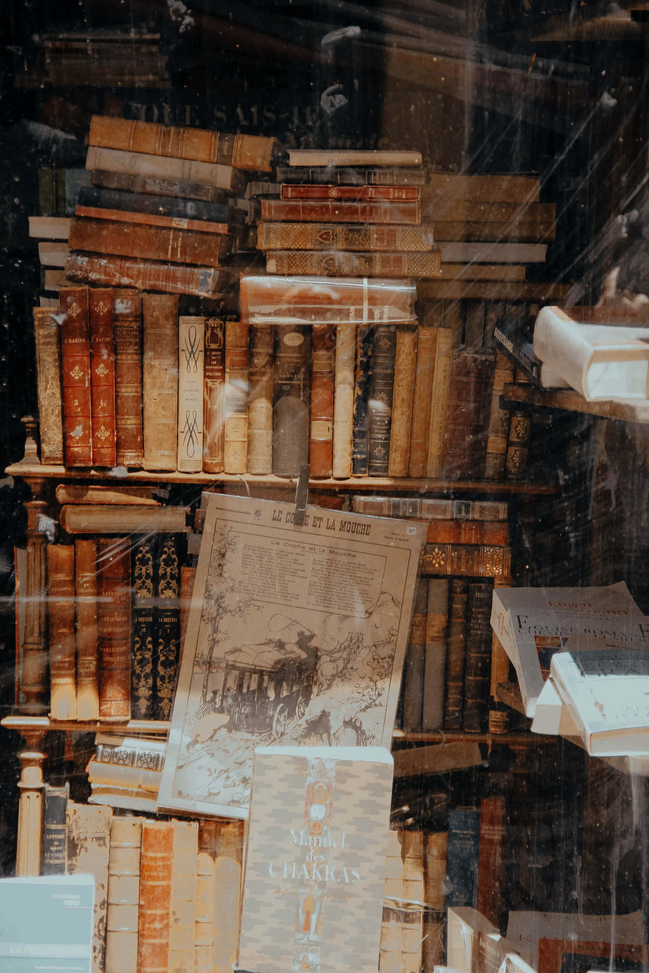 Antique_ Bookshelf_ Mystery Wallpaper