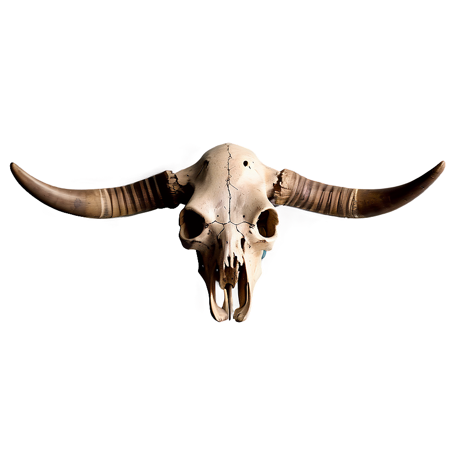 Antique Cow Skull Png 06132024 PNG