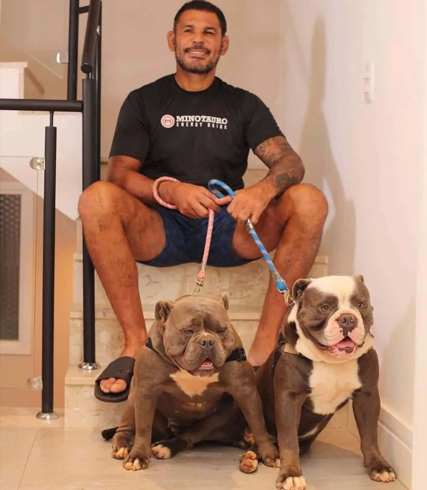 Antônio Rodrigo Nogueira With Pets Wallpaper