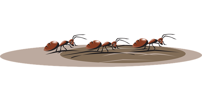 Ants_ Gathering_ Around_ Anthill_ Illustration PNG