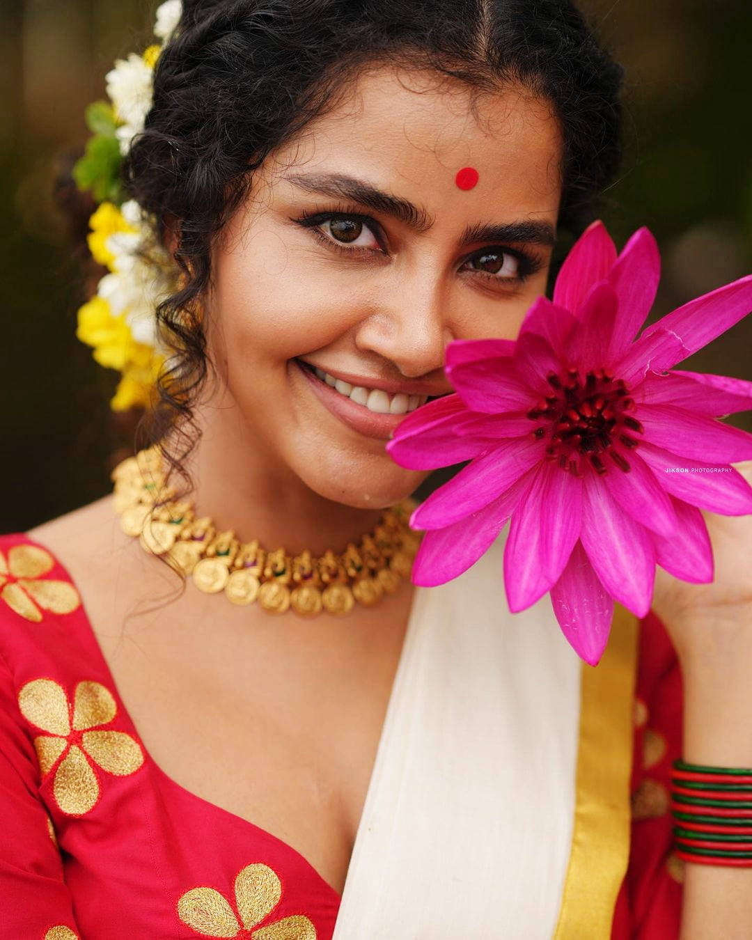 Anupama Parameswara Fiore Rosa Sfondo