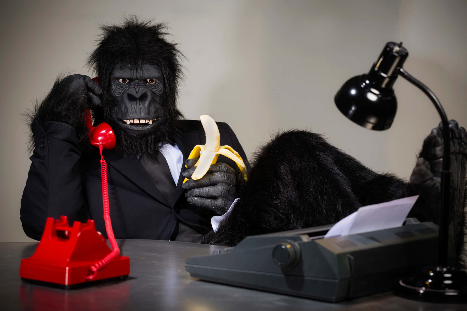 Ape Sitting On Desk Picture