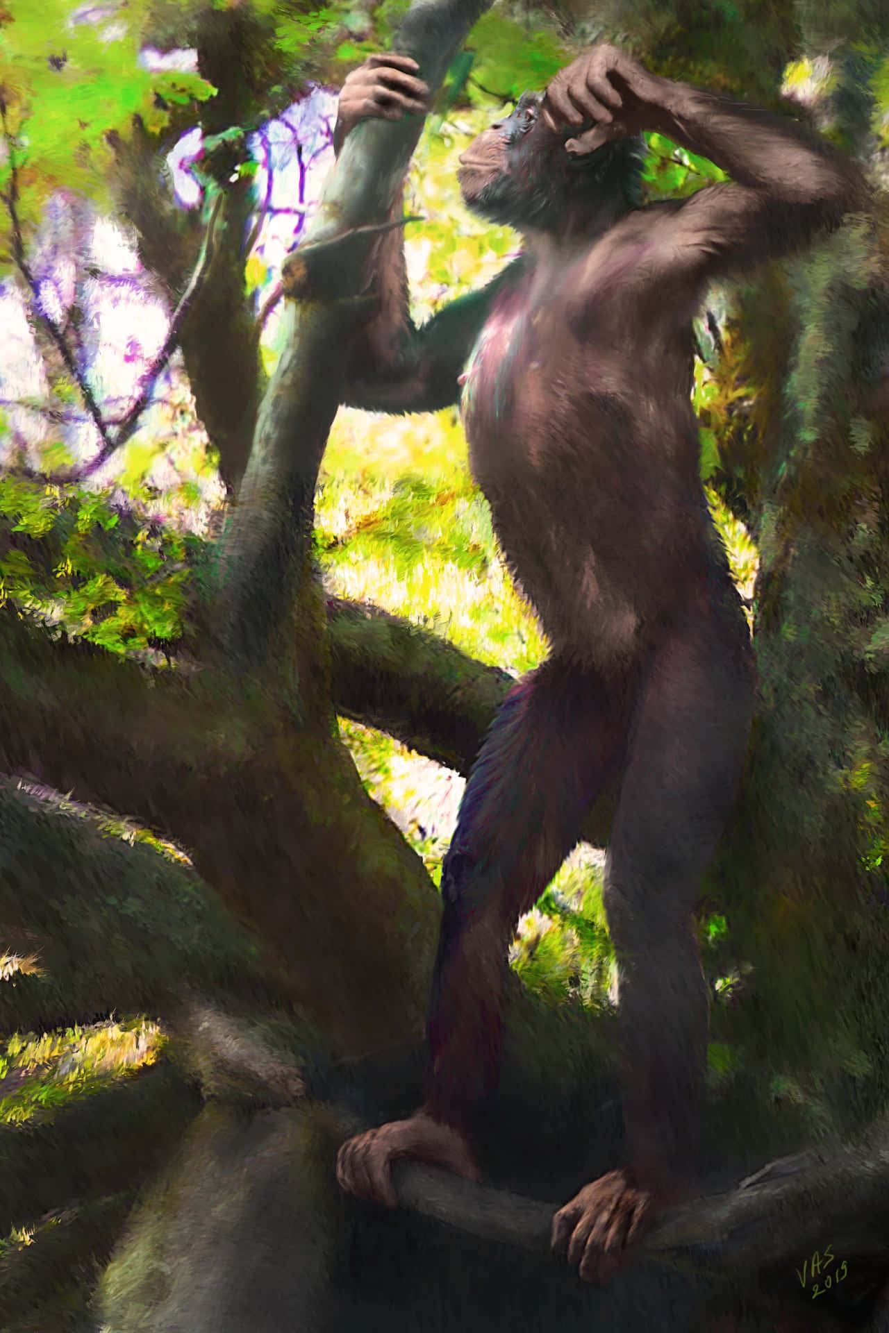 Billede af en abe der holder fast i et træ
