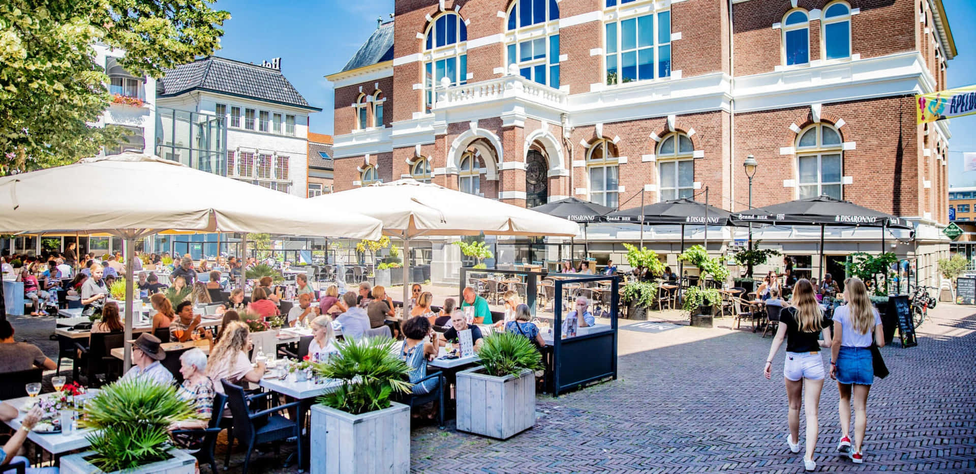 Apeldoorn Outdoor Cafe Scene Wallpaper