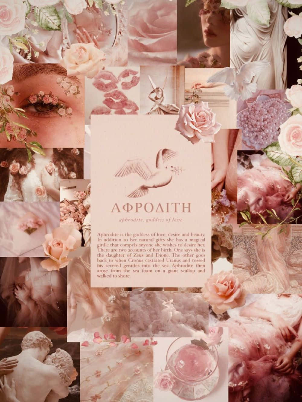 [100+] Aphrodite Aesthetic Wallpapers | Wallpapers.com