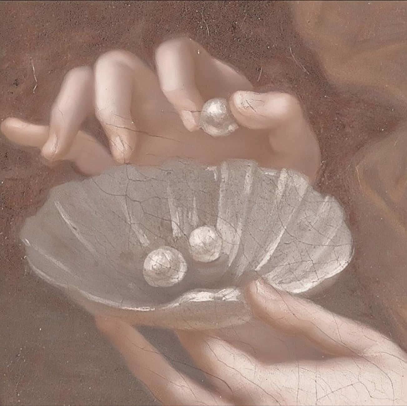 Aphrodite Pearlsand Shell Aesthetic Wallpaper