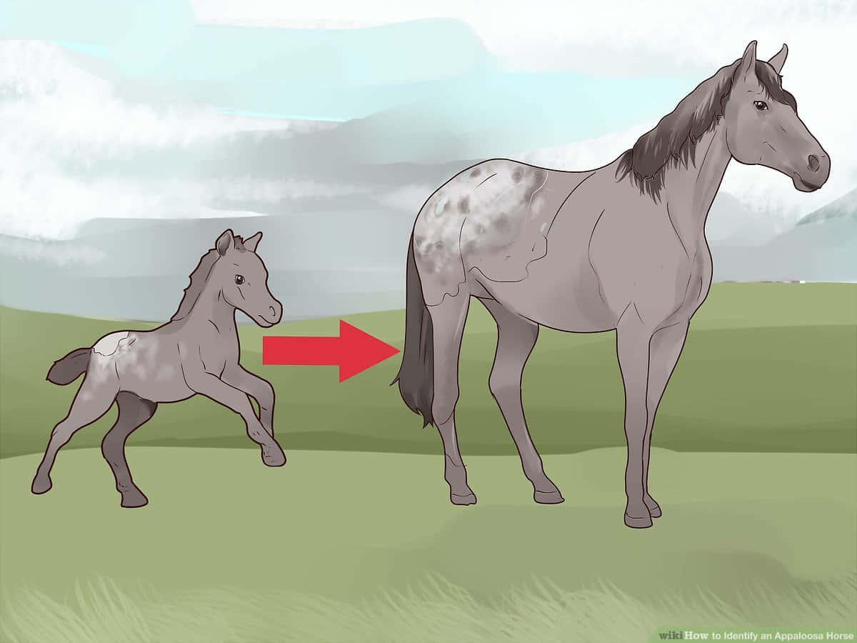 A Horse Is Standing Next To A Baby Horse