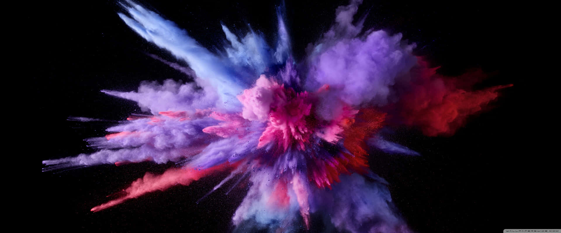 A Colorful Explosion Of Powder On A Black Background Wallpaper