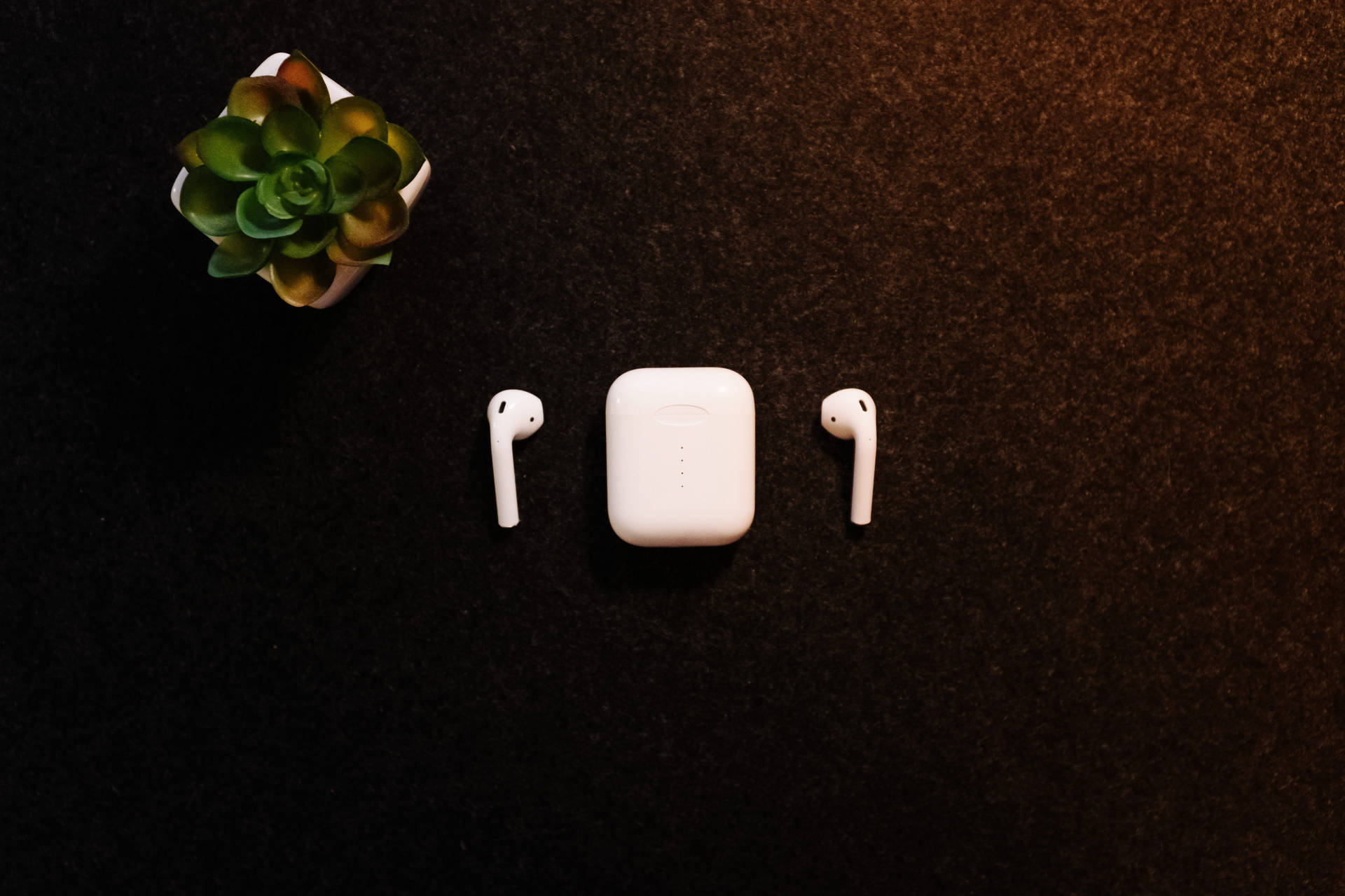 Apple Airpods with Chic Succulents Wallpaper