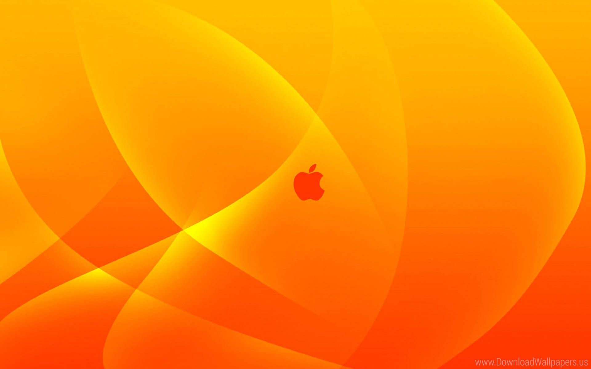 A Vibrant Orange Apple Icon Wallpaper