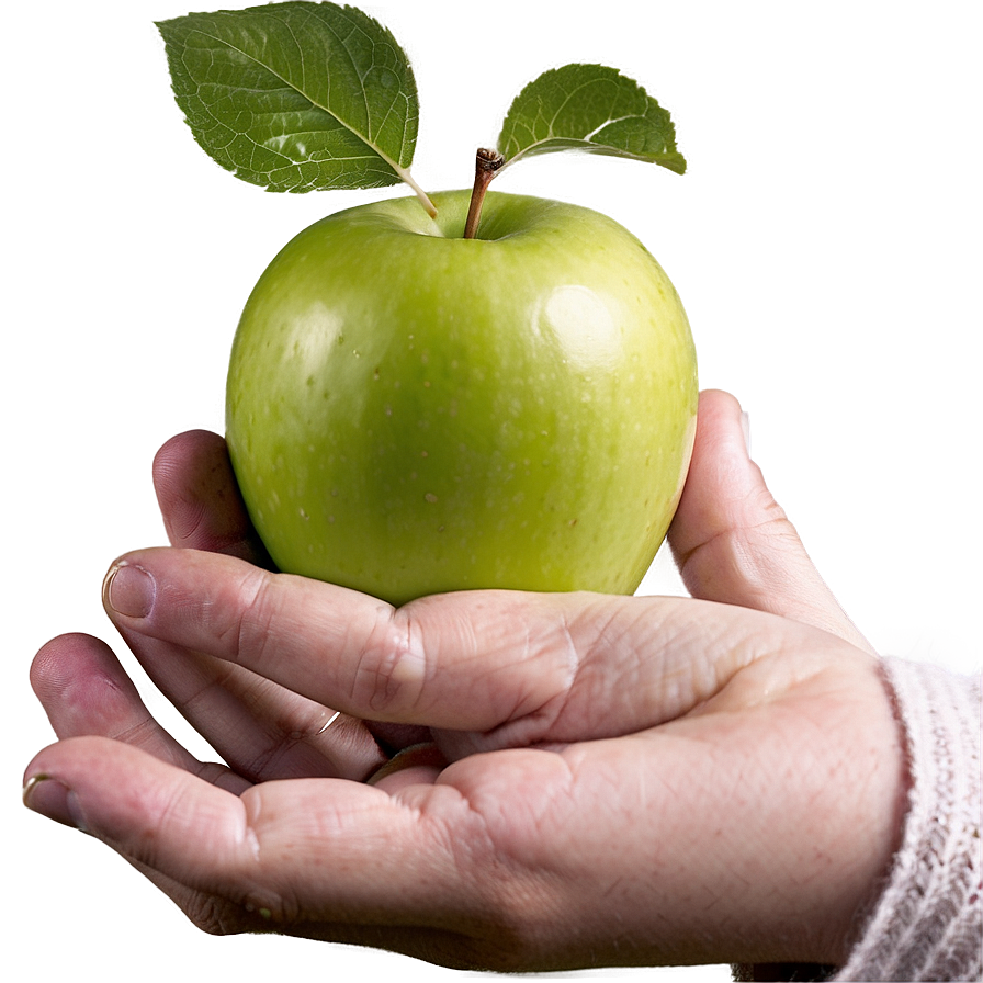 Apple In Hand Png 54 PNG