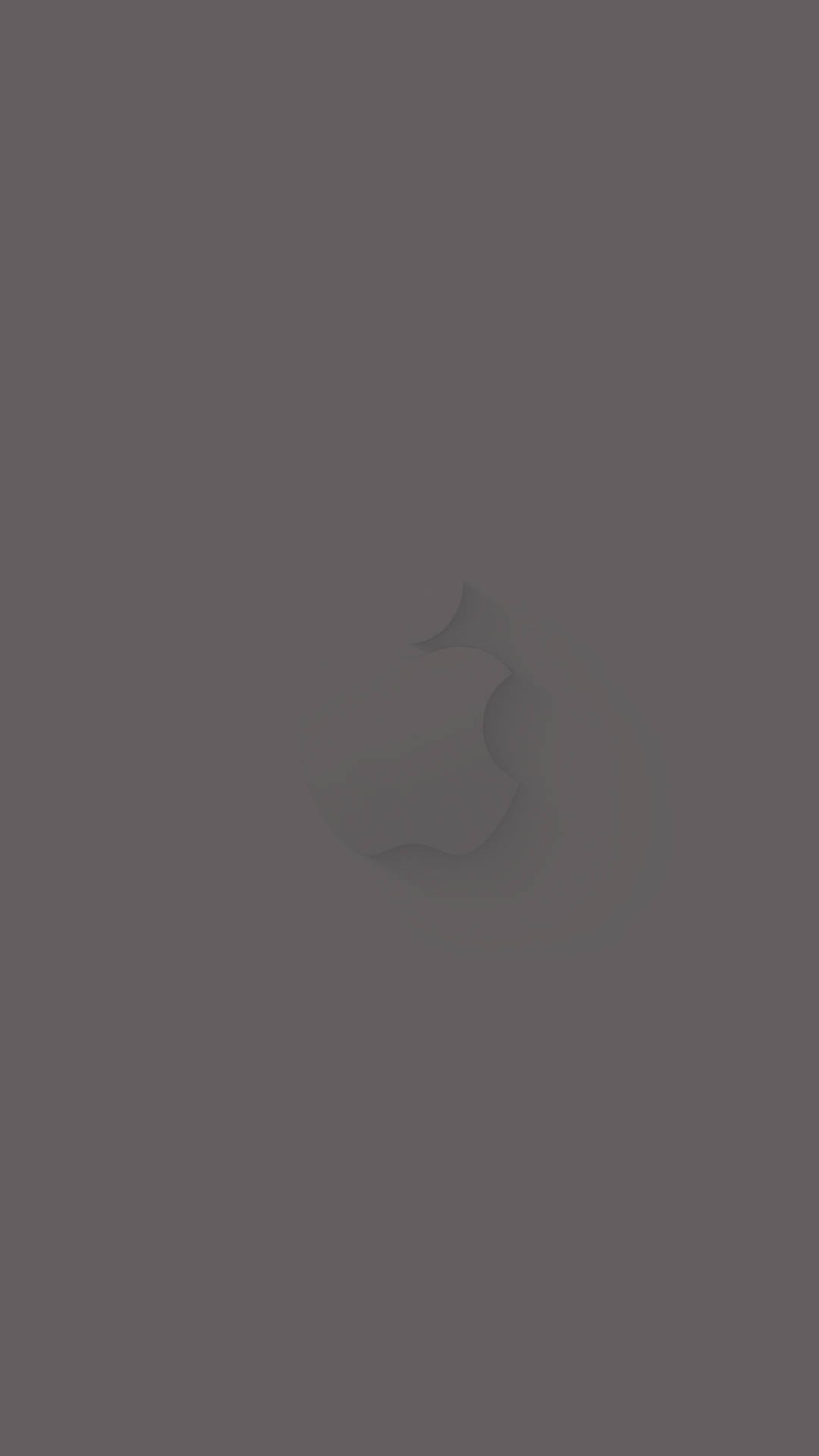 Apple In Solid Grey Background