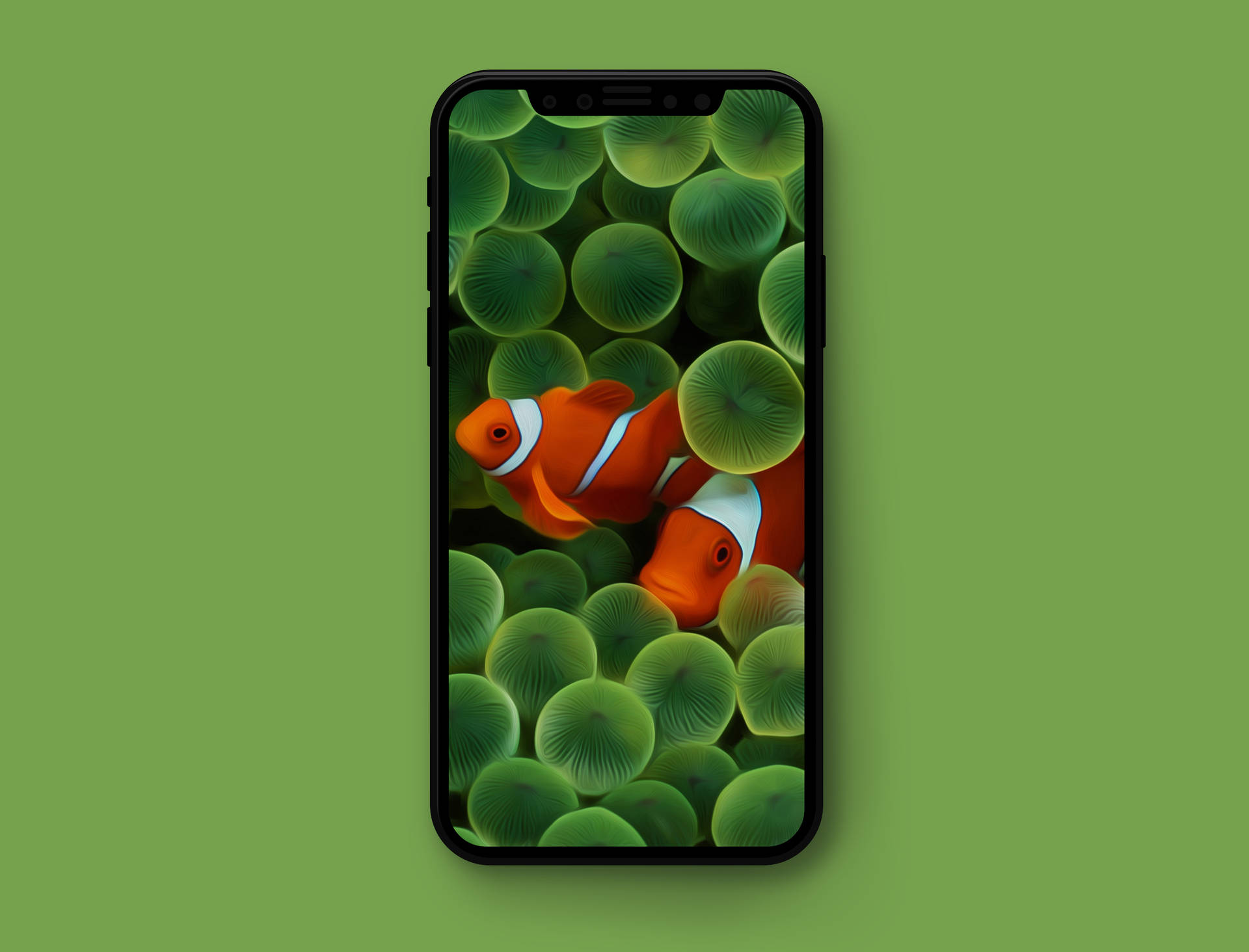 Apple iPhone Default Clownfish Wallpaper