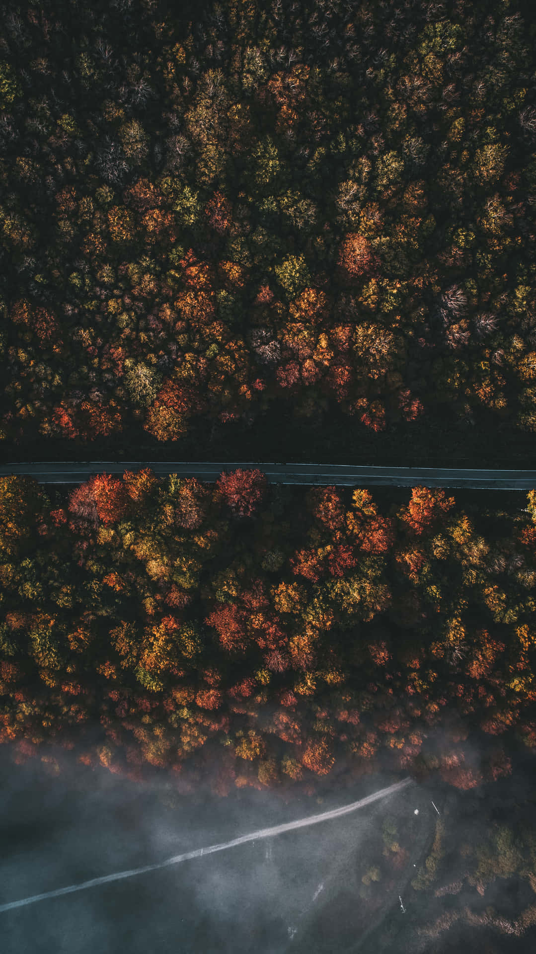 Apple Iphone X Autumn Forest Aerial Wallpaper