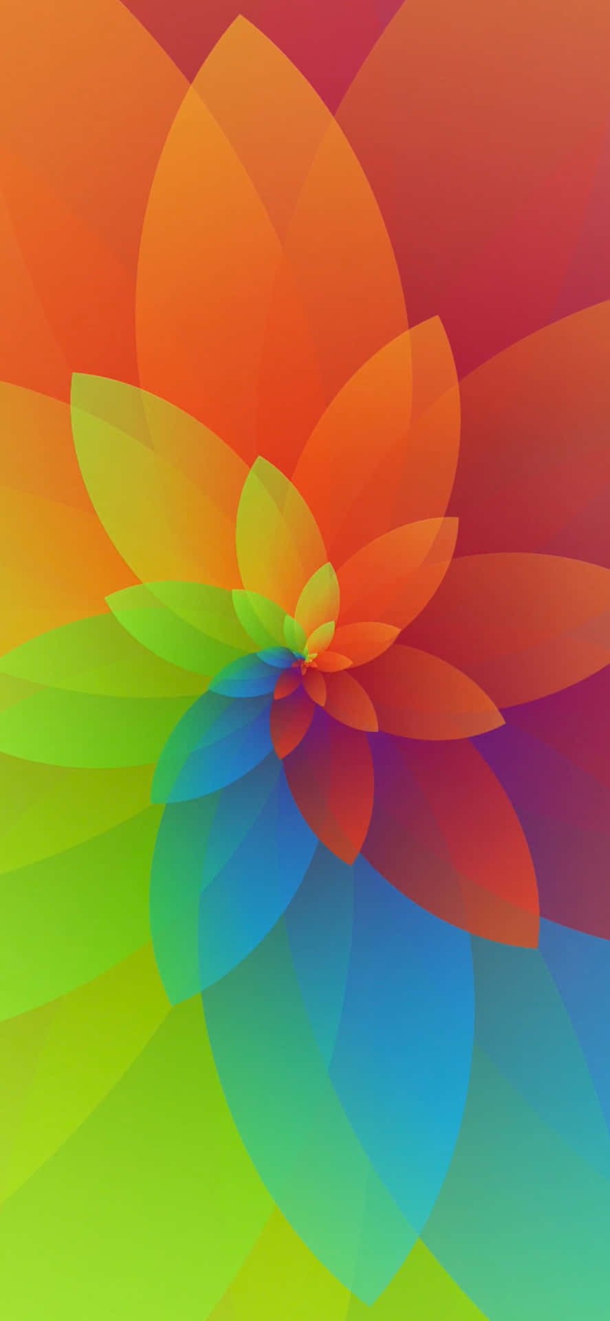 En farverig blomst med et regnbue baggrund Wallpaper