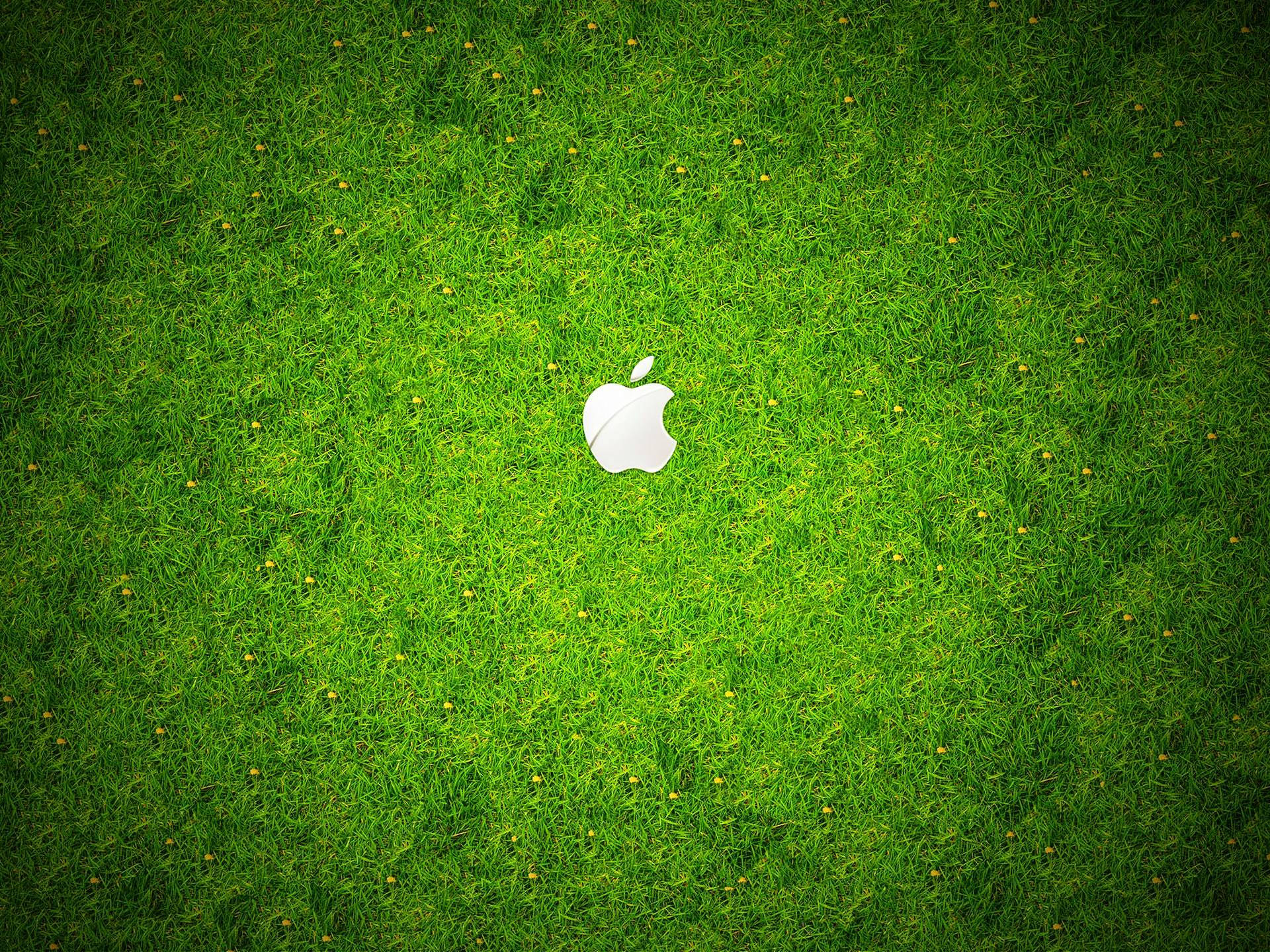 A Fresh Apple Logo on the Soft Grass Wallpaper