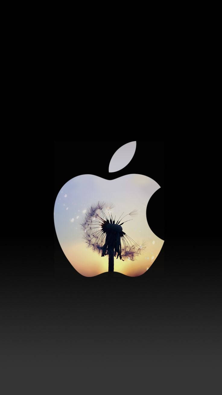 Apple-logo Sød Iphone-låseskærm Wallpaper