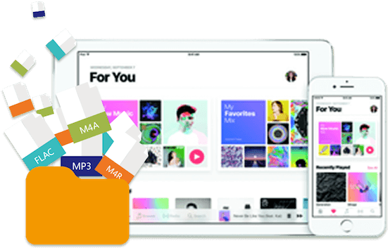 Apple Music File Formats Compatibility PNG