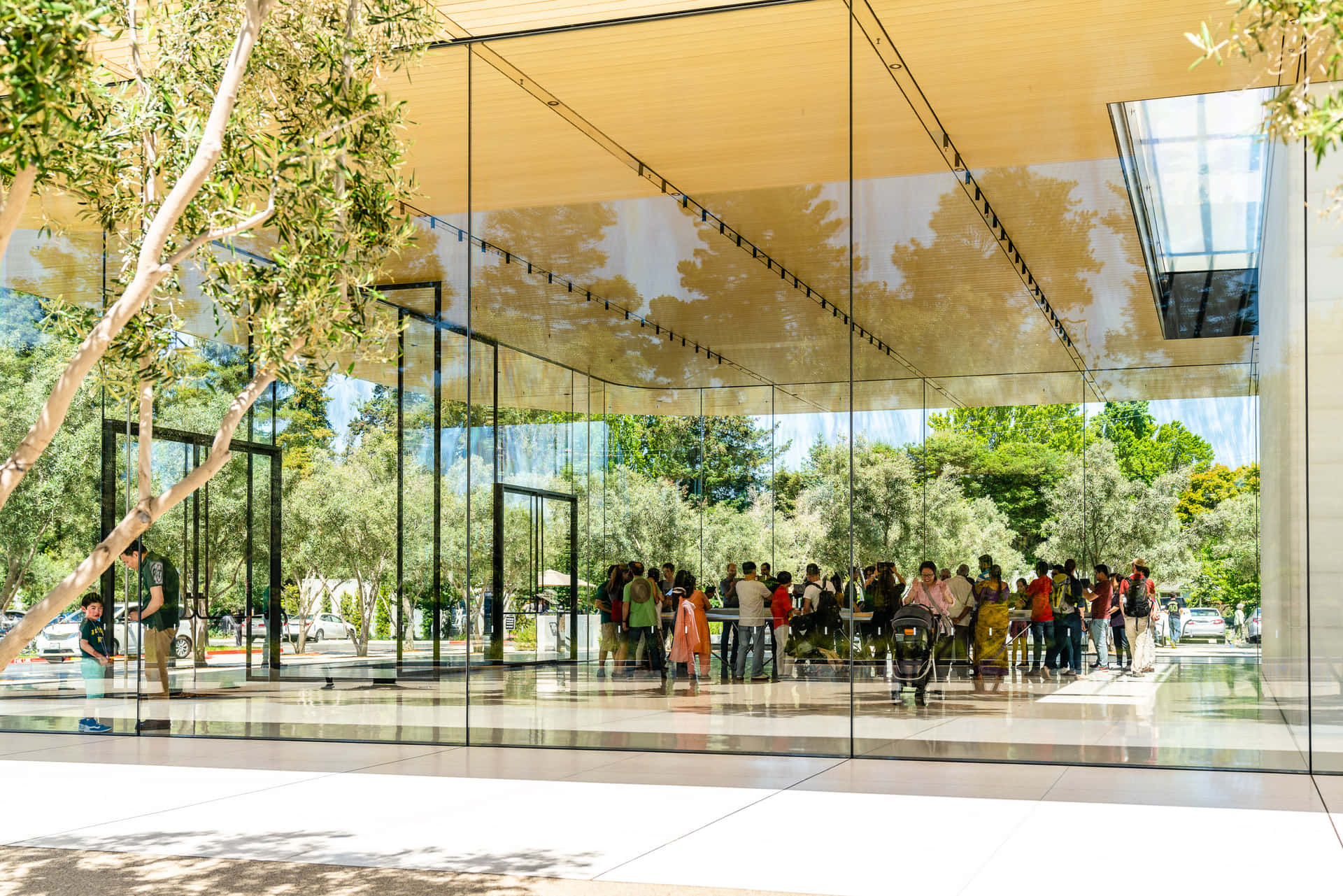 Apple Park Visitor Center Glass Architecture Wallpaper