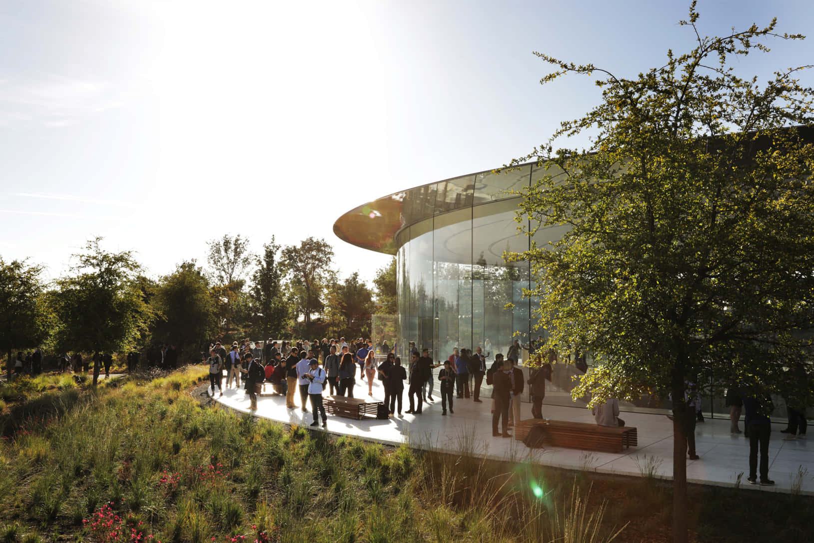 Apple Park Visitor Center Sunset Wallpaper