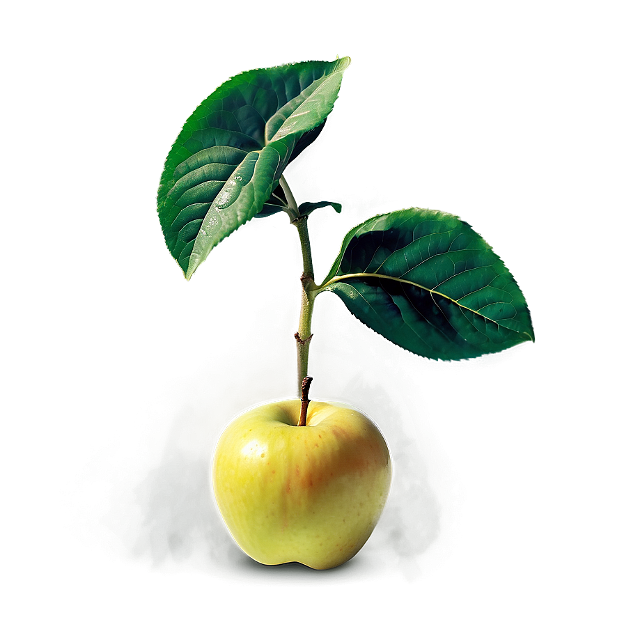 Apple Sprout Png Gns PNG