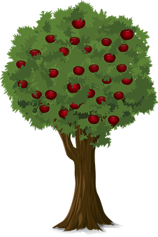 Apple Tree Illustration PNG