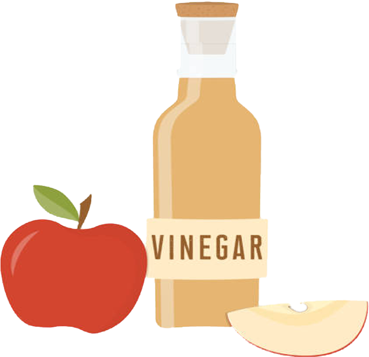 Apple Vinegar Illustration PNG