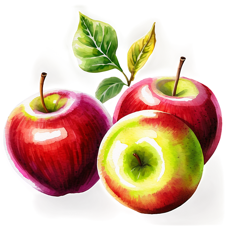 Apple Watercolor Png 06132024 PNG