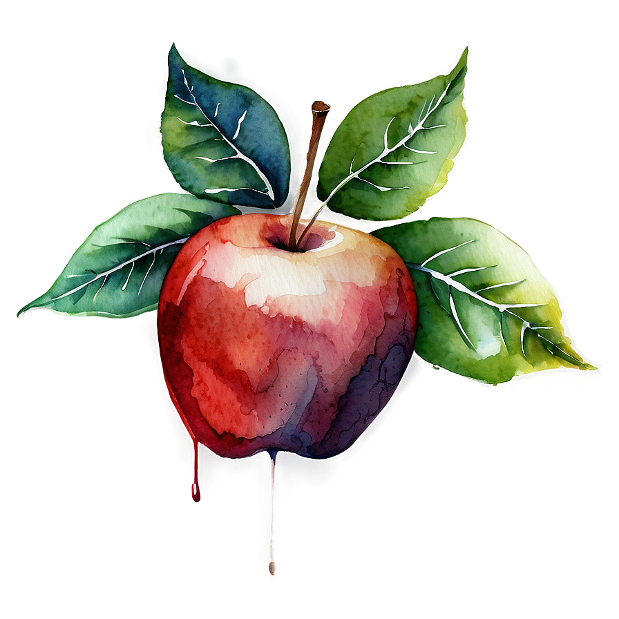 Apple Watercolor Png Fln33 PNG