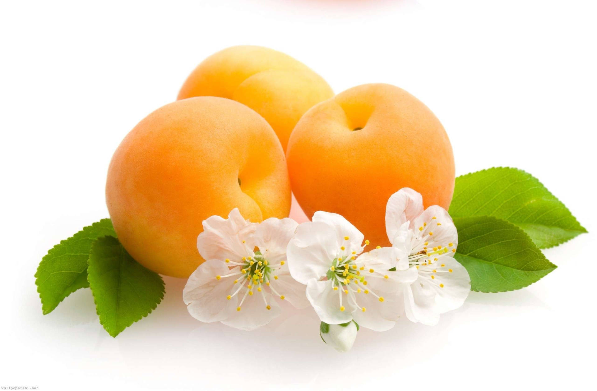 Apricot frugter og blomster mønster Wallpaper