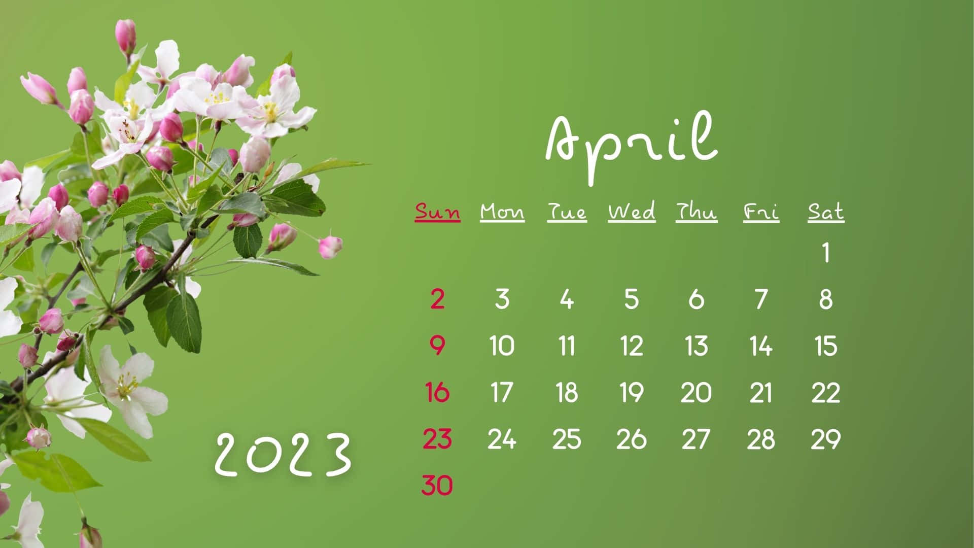 Spring Desktop Wallpaper 2023 Infoupdate