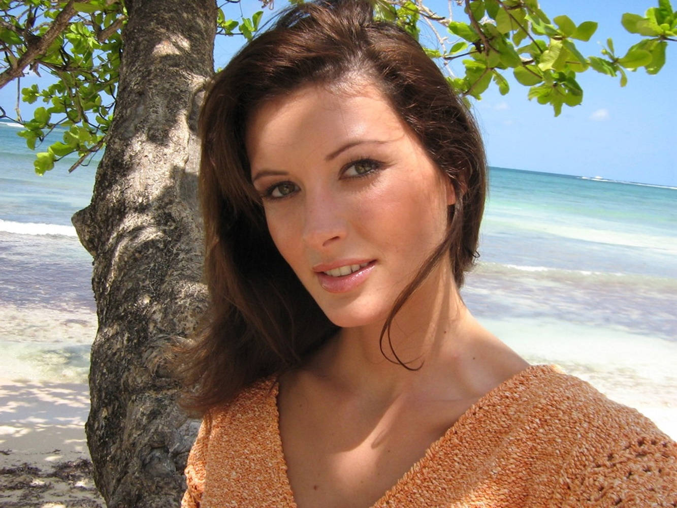 April Bowlby tæt på et træ ved stranden Wallpaper