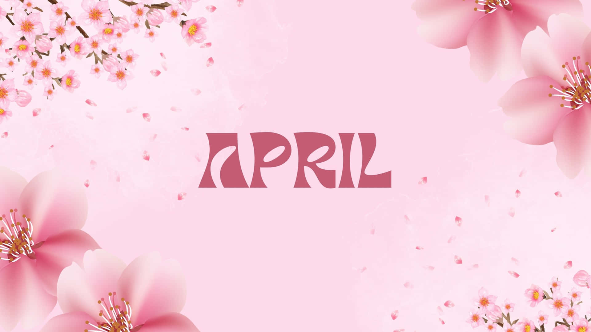 April Floral Background Pink Aesthetic Wallpaper