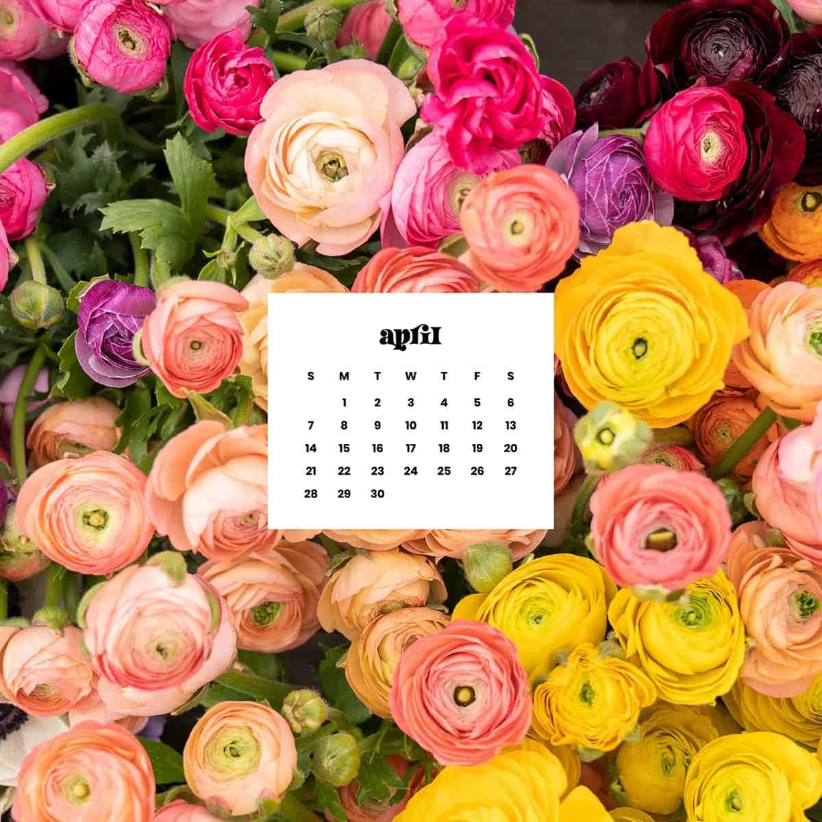 April Floral Calendar Background Wallpaper