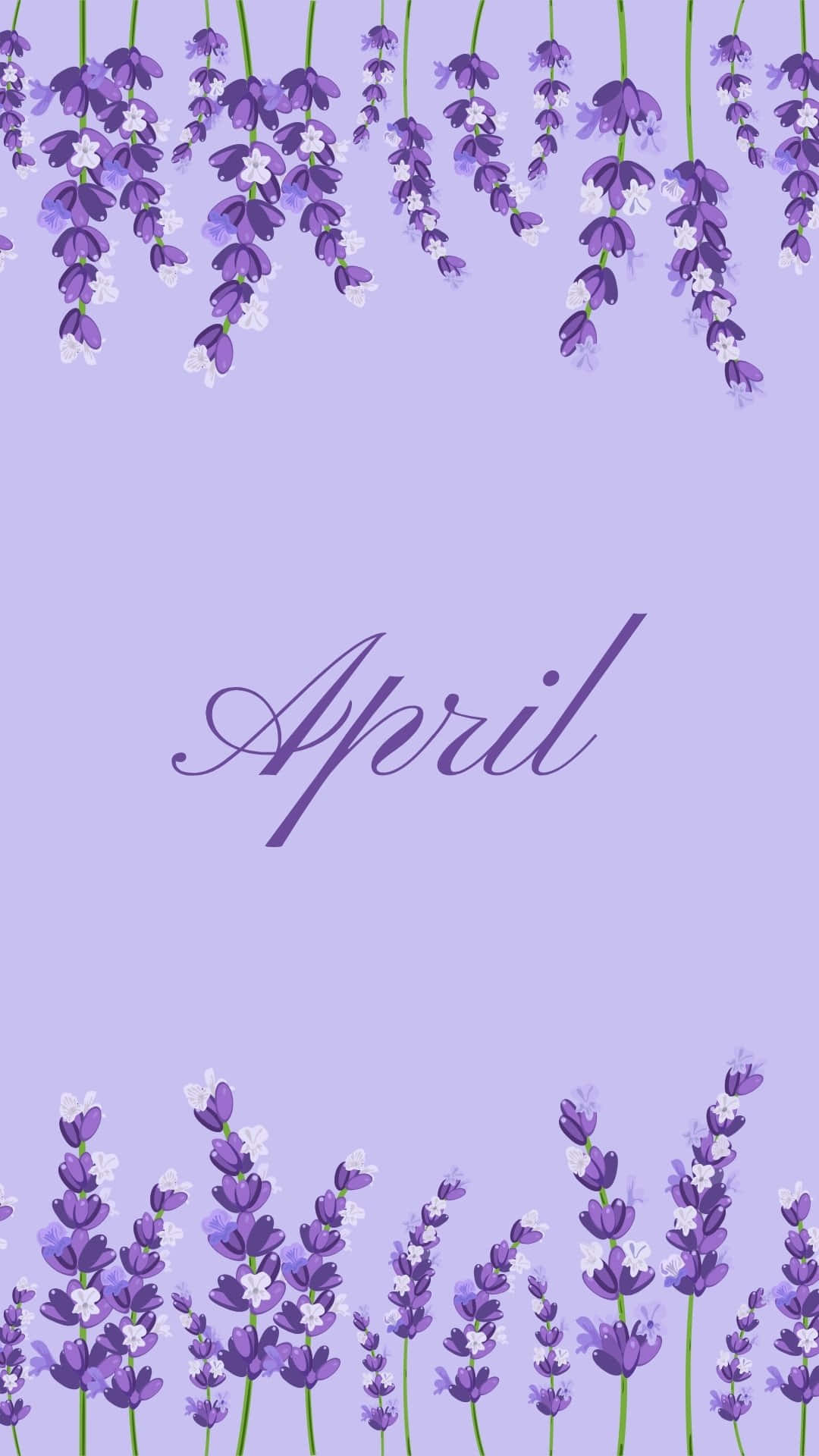 April Lavender Floral Background Wallpaper