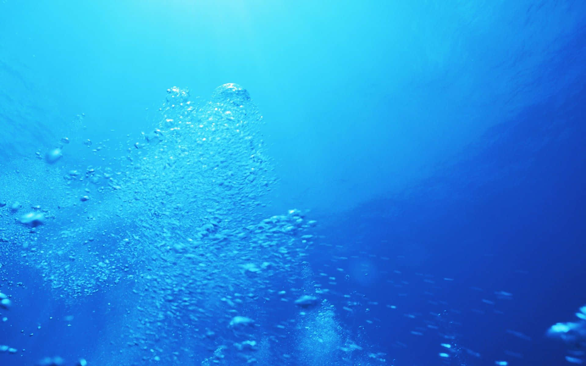 Dive Into Refreshing Aqua -