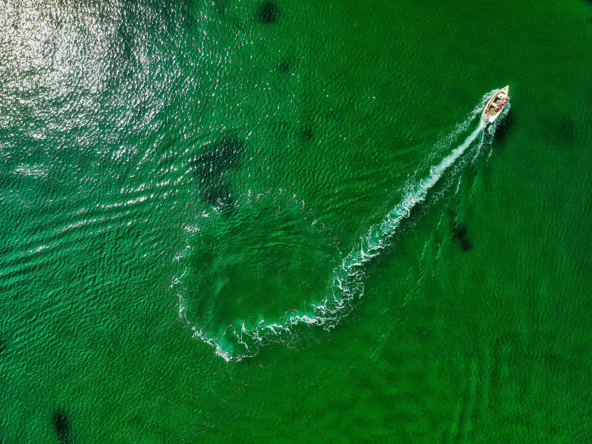Majestic Aqua Green Waters in Nature Wallpaper