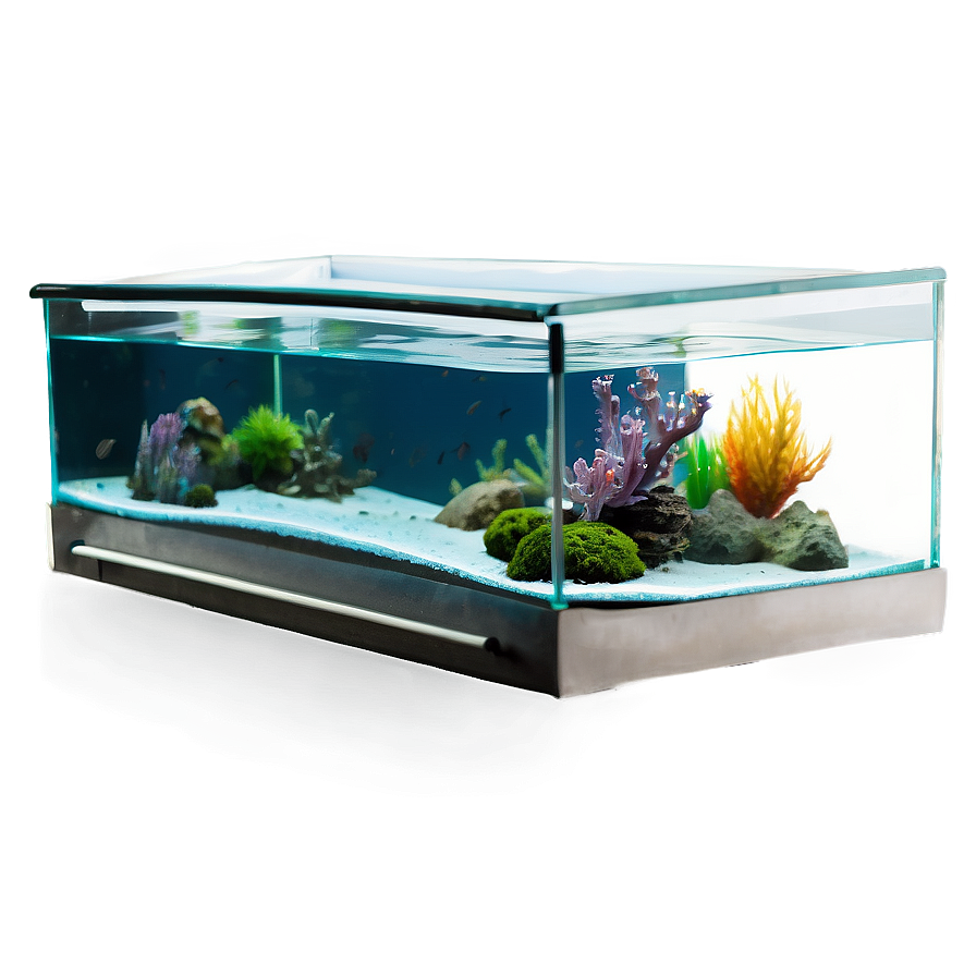 Aquarium Accessories Png 43 PNG