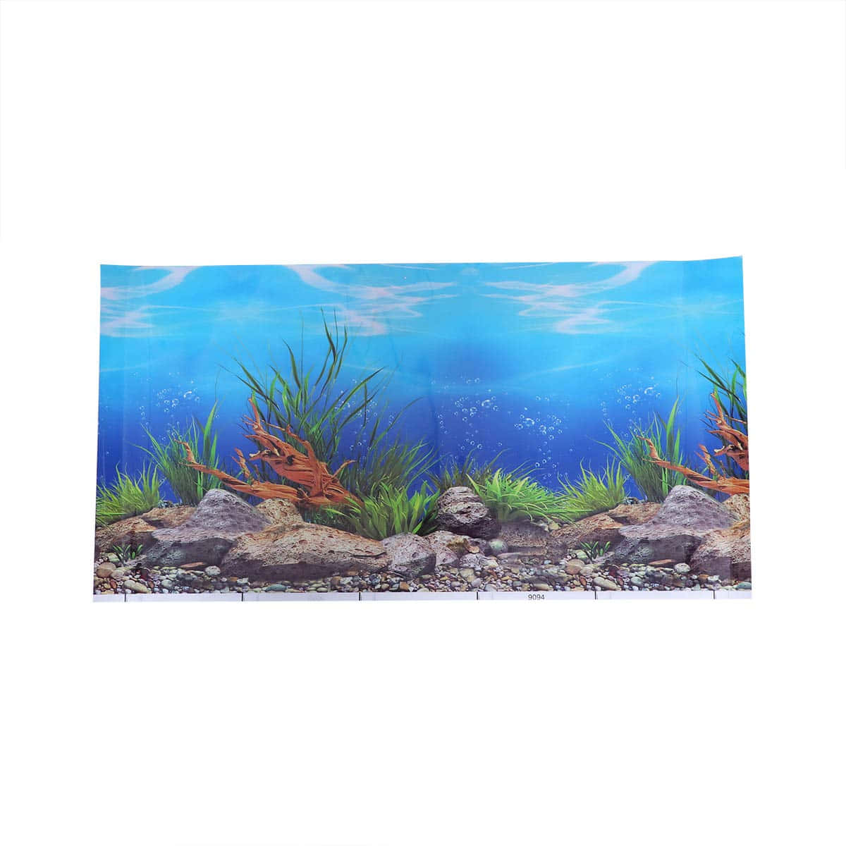 Underwater Beauty in an Aquarium Fish Tank Wallpaper