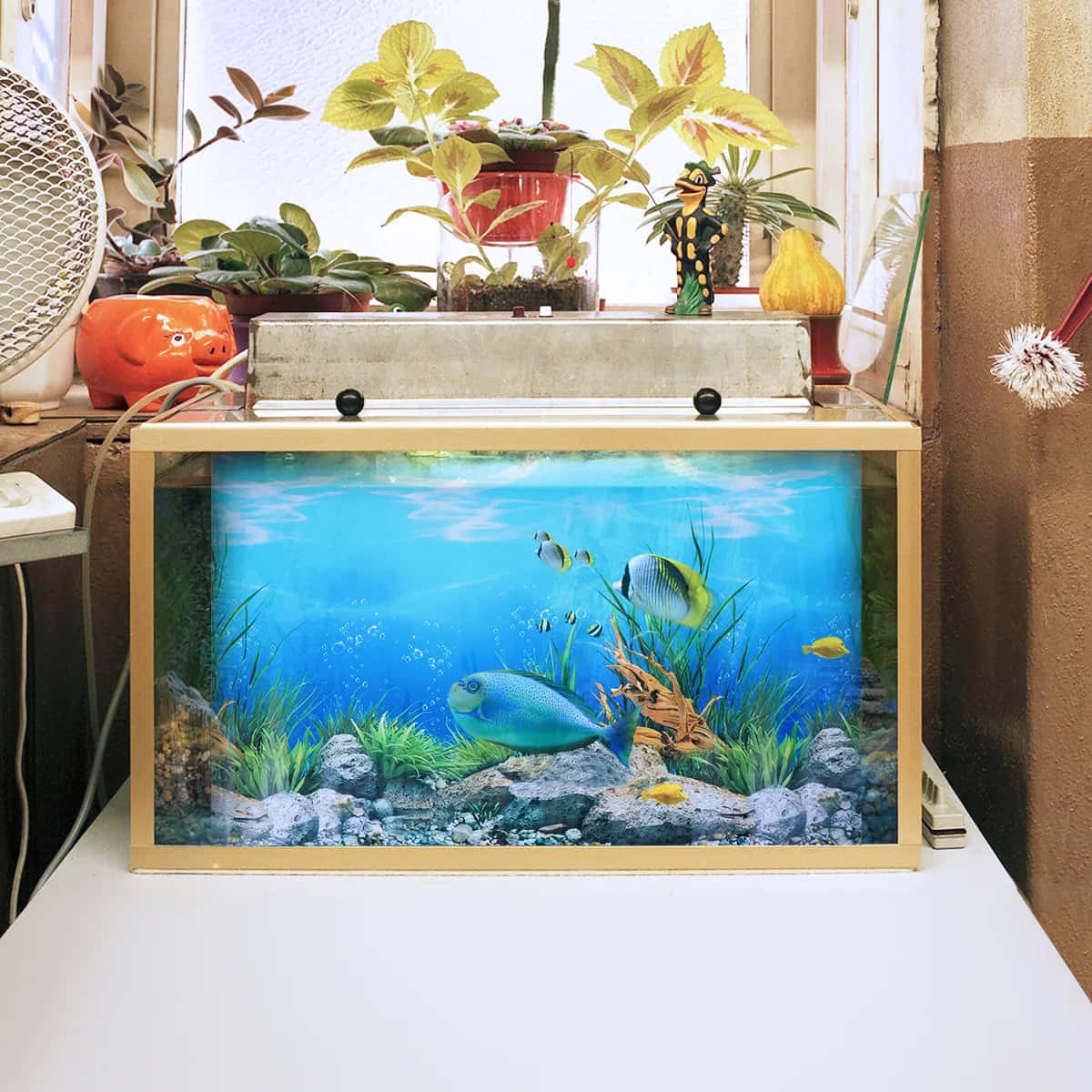 A Fish Tank With Plants And A Fan Wallpaper