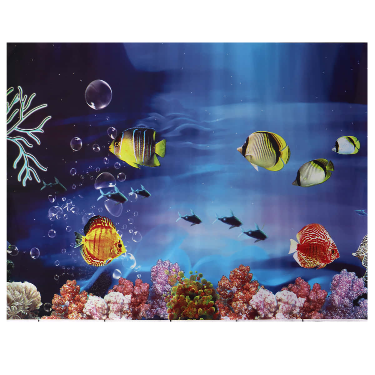 Enjoy The Beauty Of An Aquarium Fish Tank Wallpaper