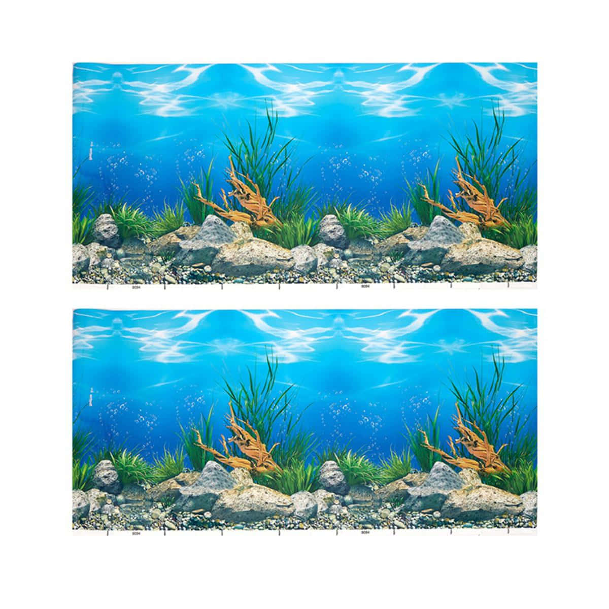 Vibrant Underwater Aquarium World Wallpaper