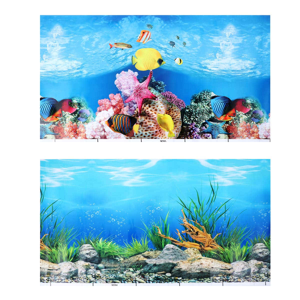 Escapism at its Finest - Take a Dive into the Tropical Aquarium Fish Tank Wallpaper