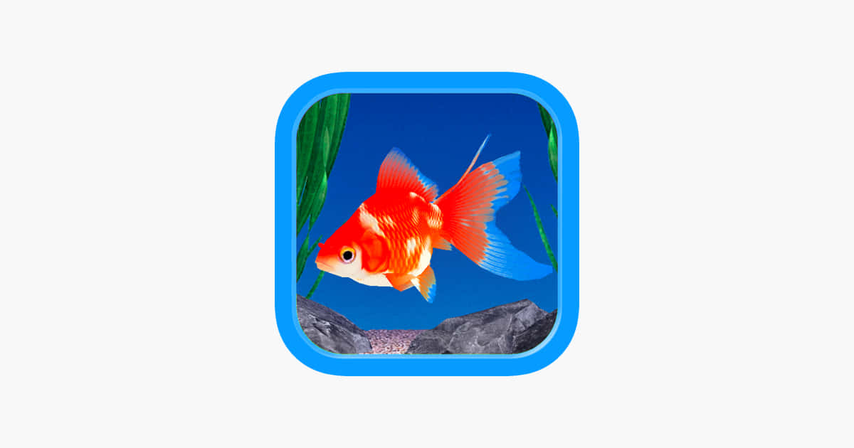 Enjoy a Relaxing View of a Beautiful Aquarium Fish Tank Wallpaper