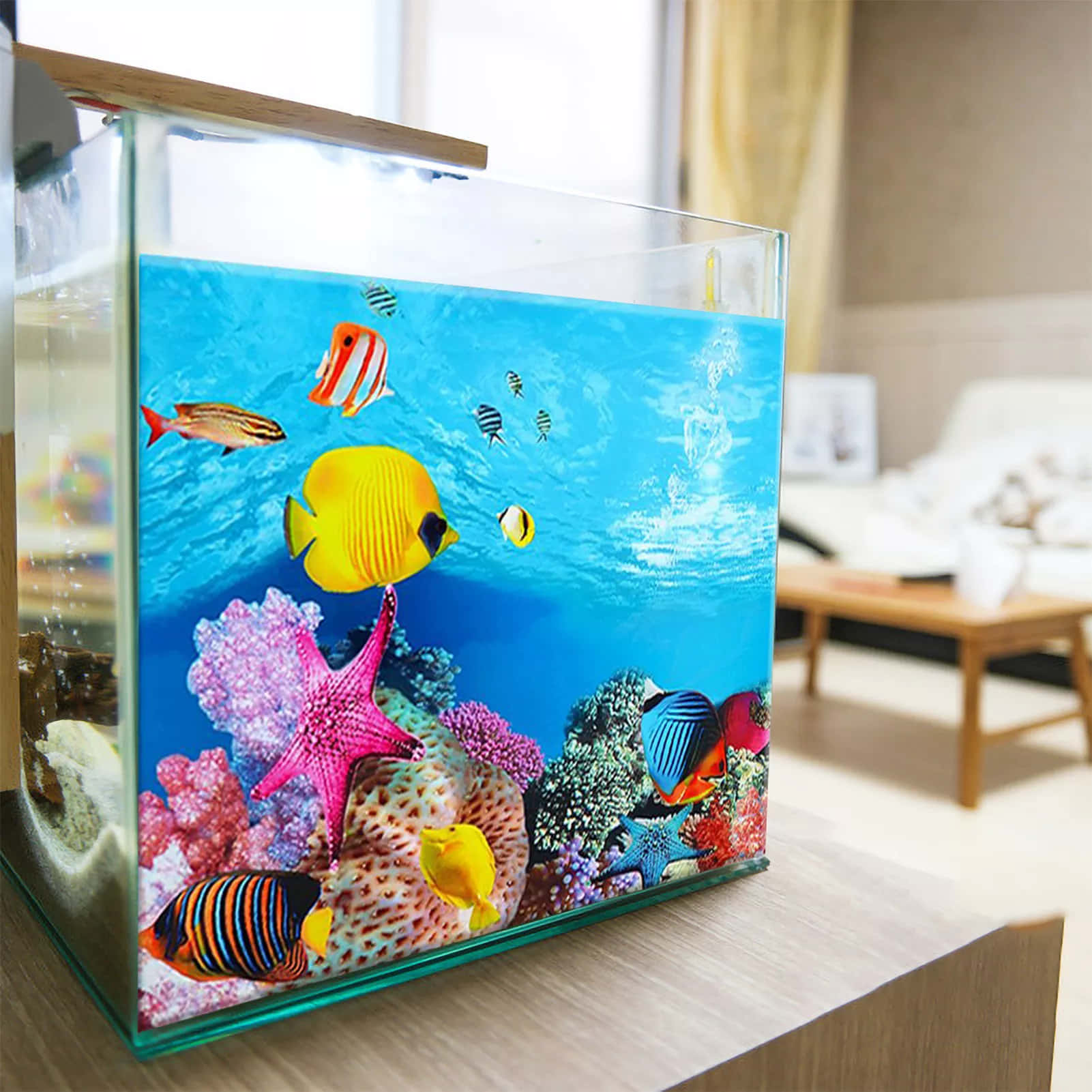 a fish tank with fish and other fish in it Wallpaper