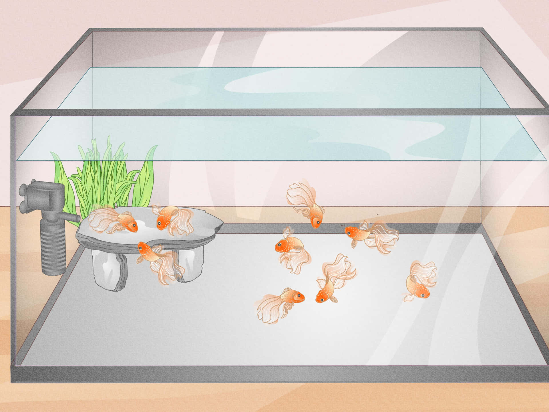 A bright and vibrant Aquarium Fish Tank Wallpaper