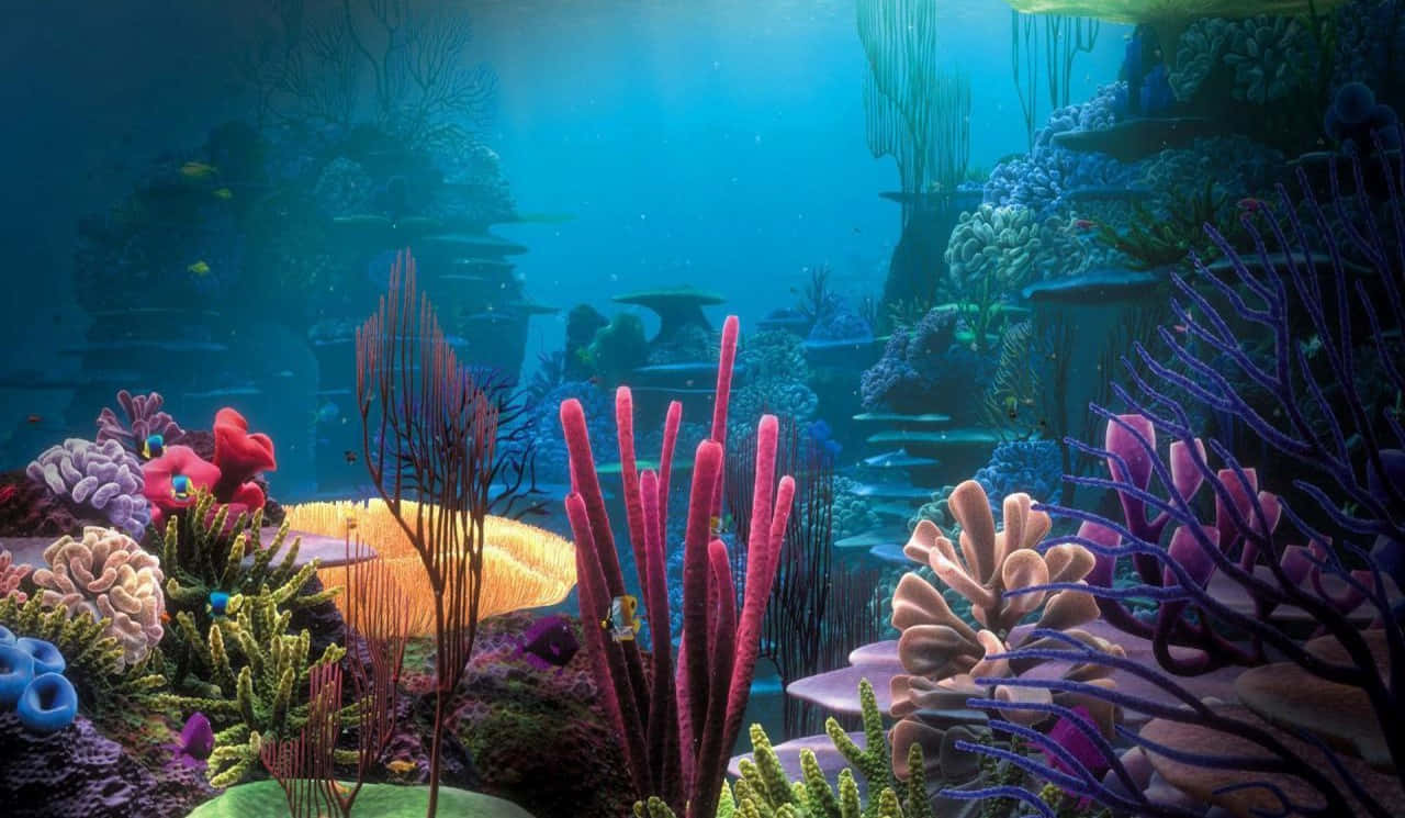 Stunning Aquarium Fish Tank Wallpaper